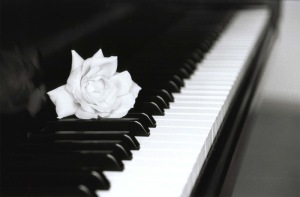pianoforte e rosa